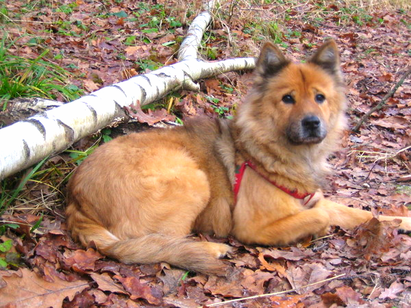 Ольга Фомина