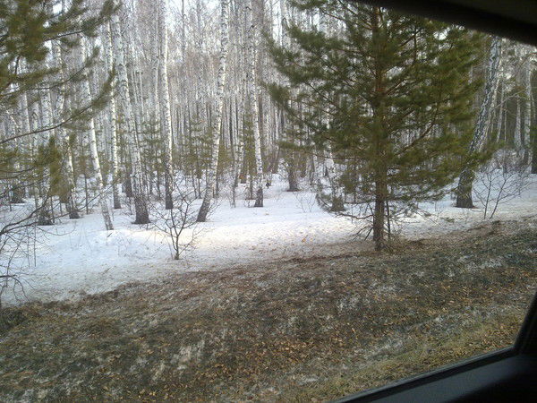 Нина Кустова