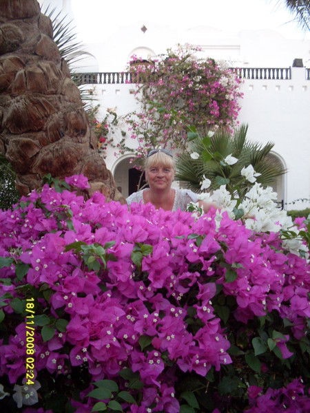 Татьяна Пушкарёва