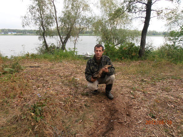 Дима Максименко