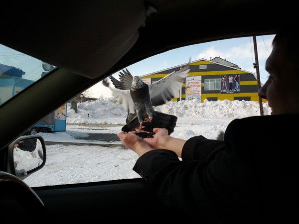 Серега Сахалинский