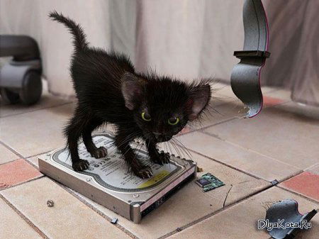 Ирина Жерякова