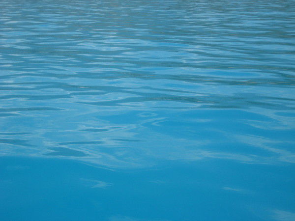 Ольга Нестреляй