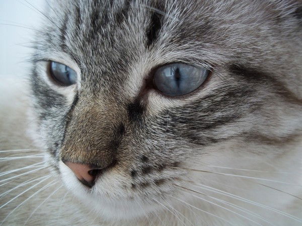 Ольга Винокурова