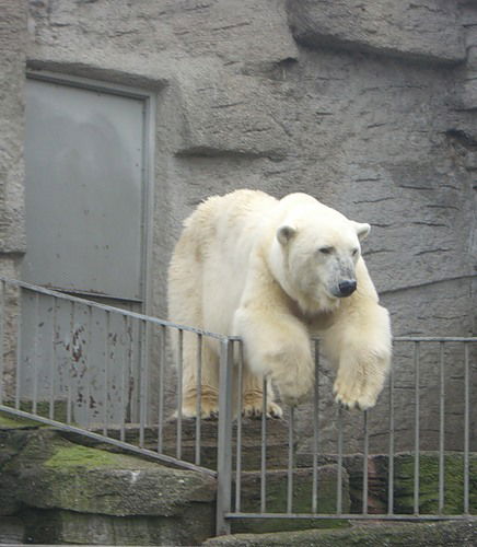 Александр Рыжков