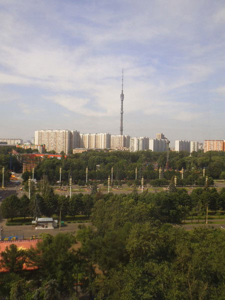 Светлана Вольман