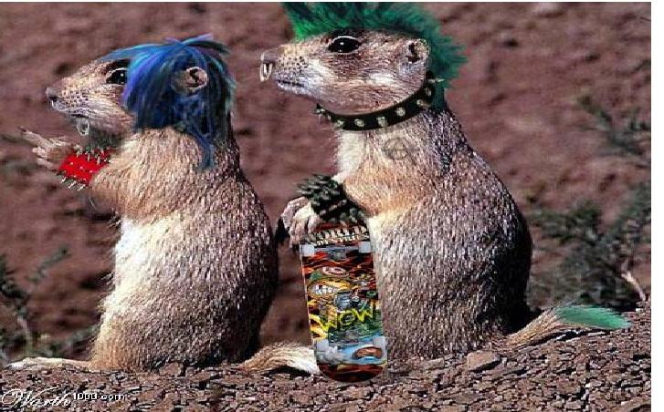 Владимир Манушкин