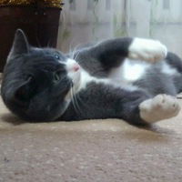 Катя Лисняк