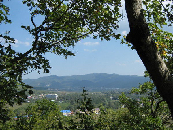 Елена Чежгалова