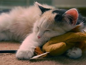 Akulpa Zhanabaeva.........