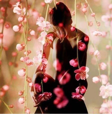 Анна Лавренюк