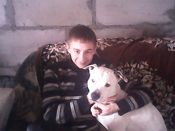 Вильгельм Герц