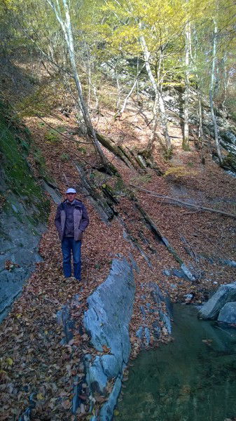 Станислав Довженко