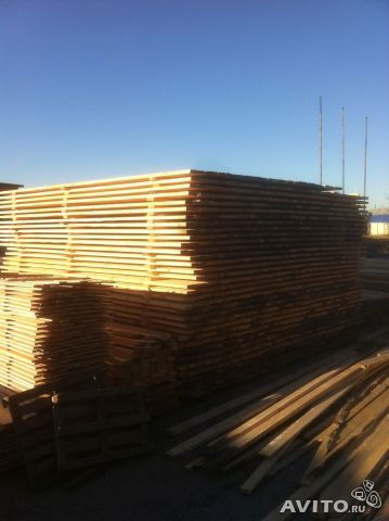 Саша Шибалов