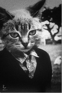 Нина Агафонова