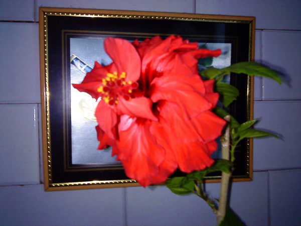 Татьяна Пенягина