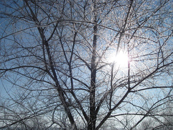 Светлана Крохина