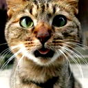 Виктор Сергеев