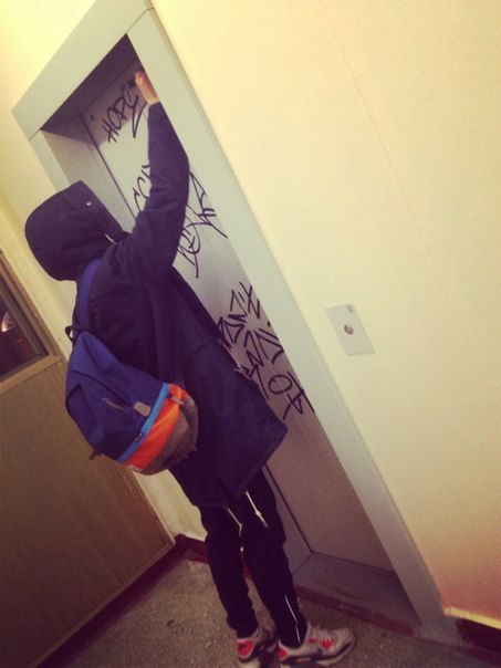 Енот Ананасовый