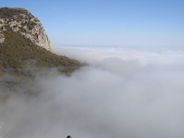 Марина Грищенко