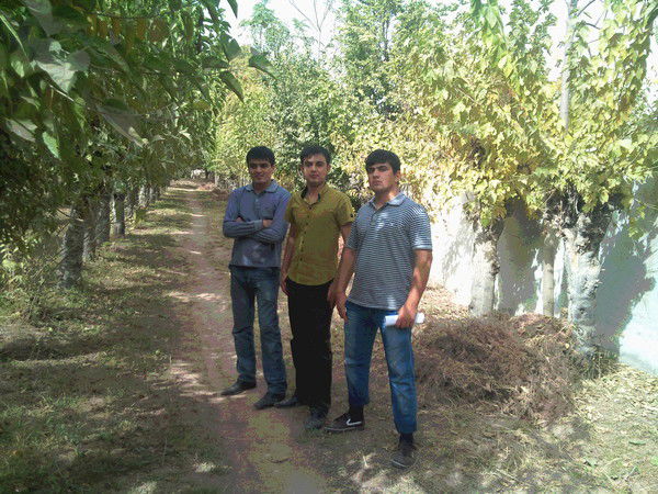 Далер Чиёнов