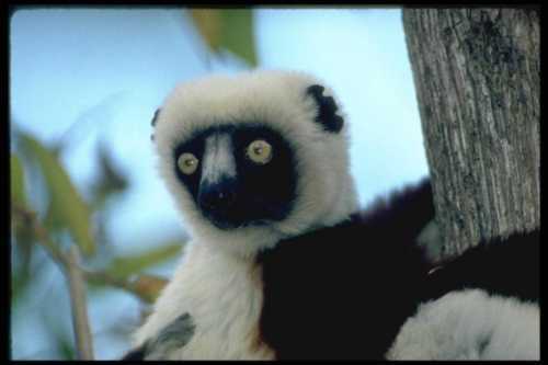 Наталья Исакова