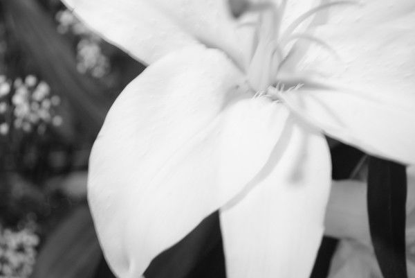 Лилия Мифтахутдинова