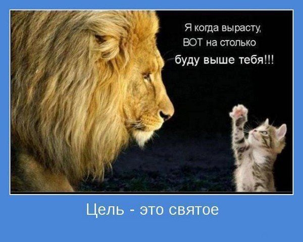 Мади *************90