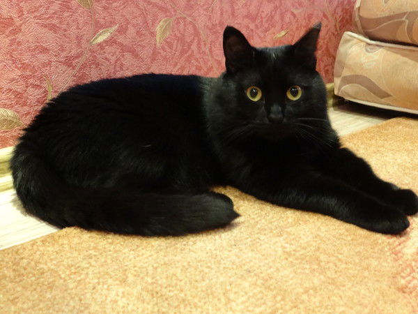 Алла Золотарёва (З Ф)