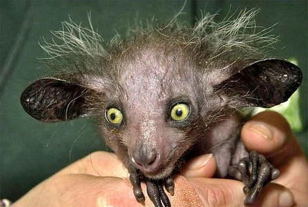 Александр ??????