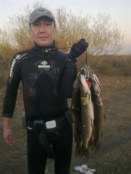 Жанат Сбастанадинаида