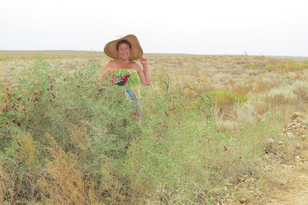 Людмила Фролова