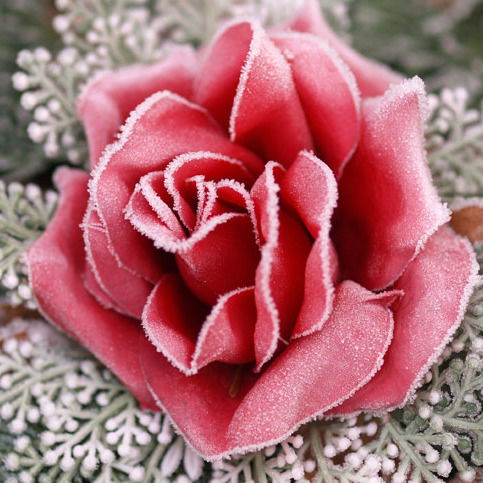 Марина Маданова