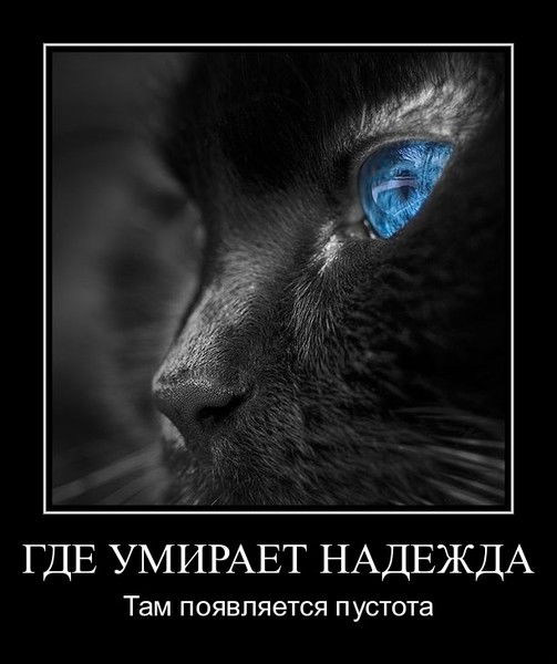 Галина Тренькина