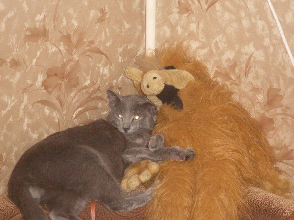 Антонина Гадюкова