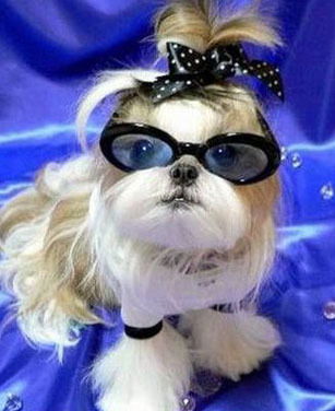 Екатерина Замураева