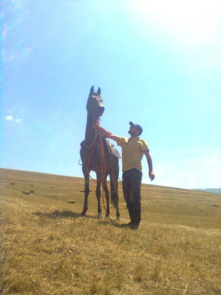 Хамзат ------------