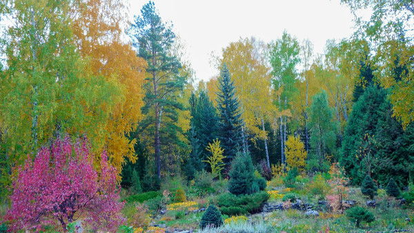 Екатерина Белова