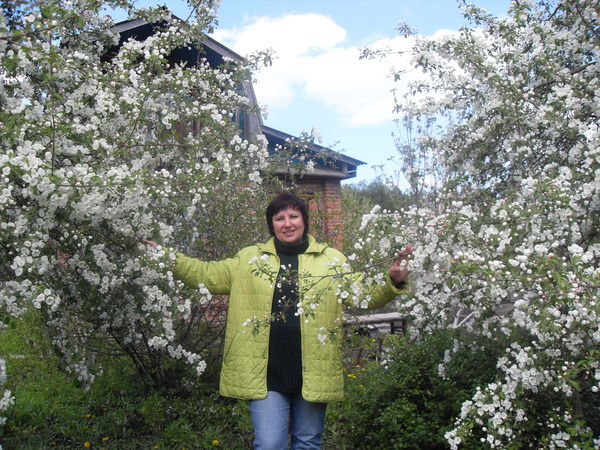 Елена Шумейко