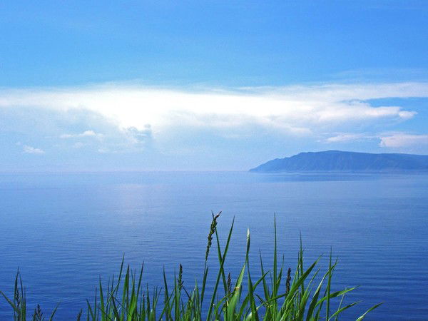 Валера Николаев