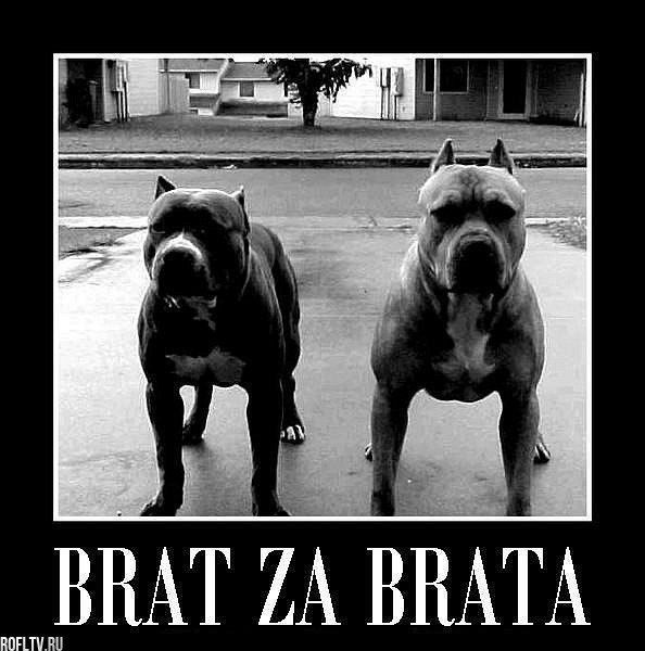 Камиль Гафаров