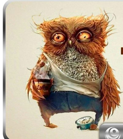 Слава Донцов