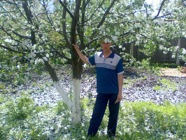 Евгений Полтавцев