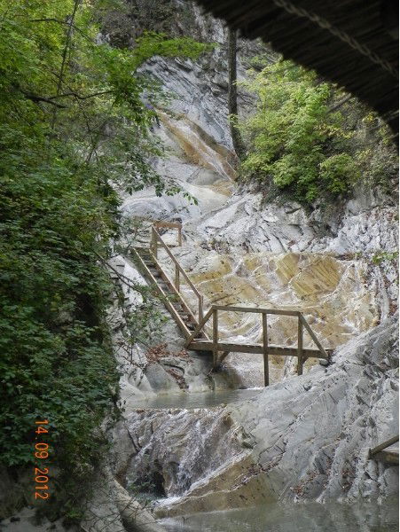 Аня Павлович