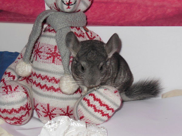 Павел Потапов