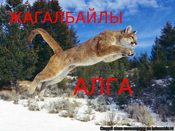 Жанат Нуржанов