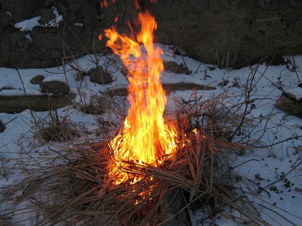 Ольга Колесникова