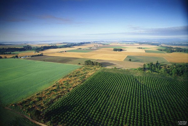 Тоо Семей Агро Инвест