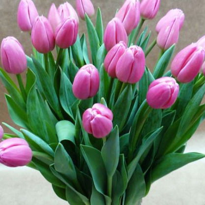 Шанхай Астана Шанхай