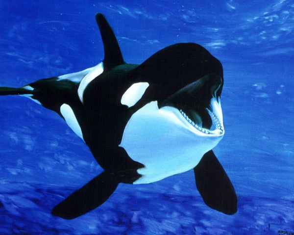 Natali-Natalka Natalkina